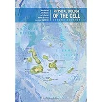 語学・辞書・学習参考書 Physical Biology of the Cell 語学・辞書・学習参考書 Physical Biology of the Cell Amazon